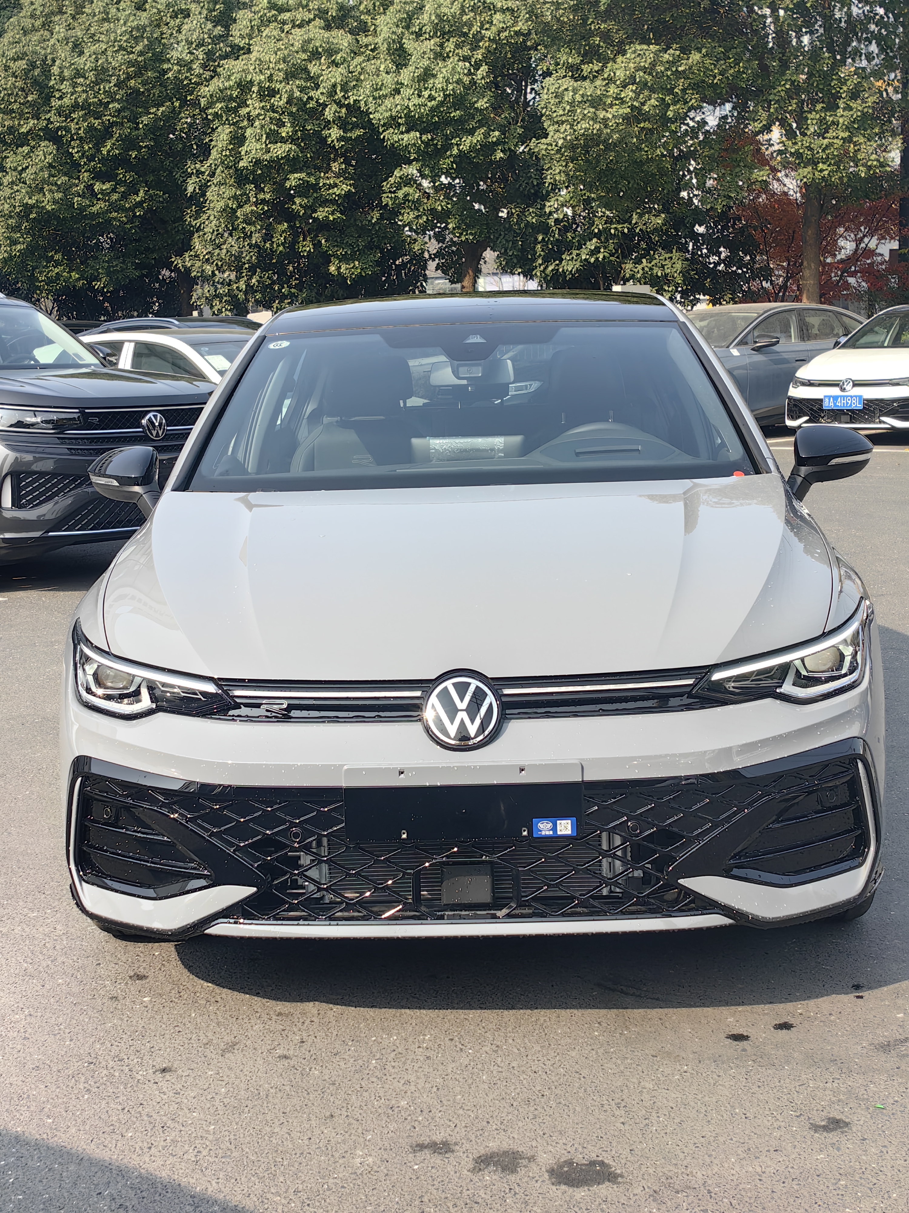 Volkswagen Volkswagen Golf