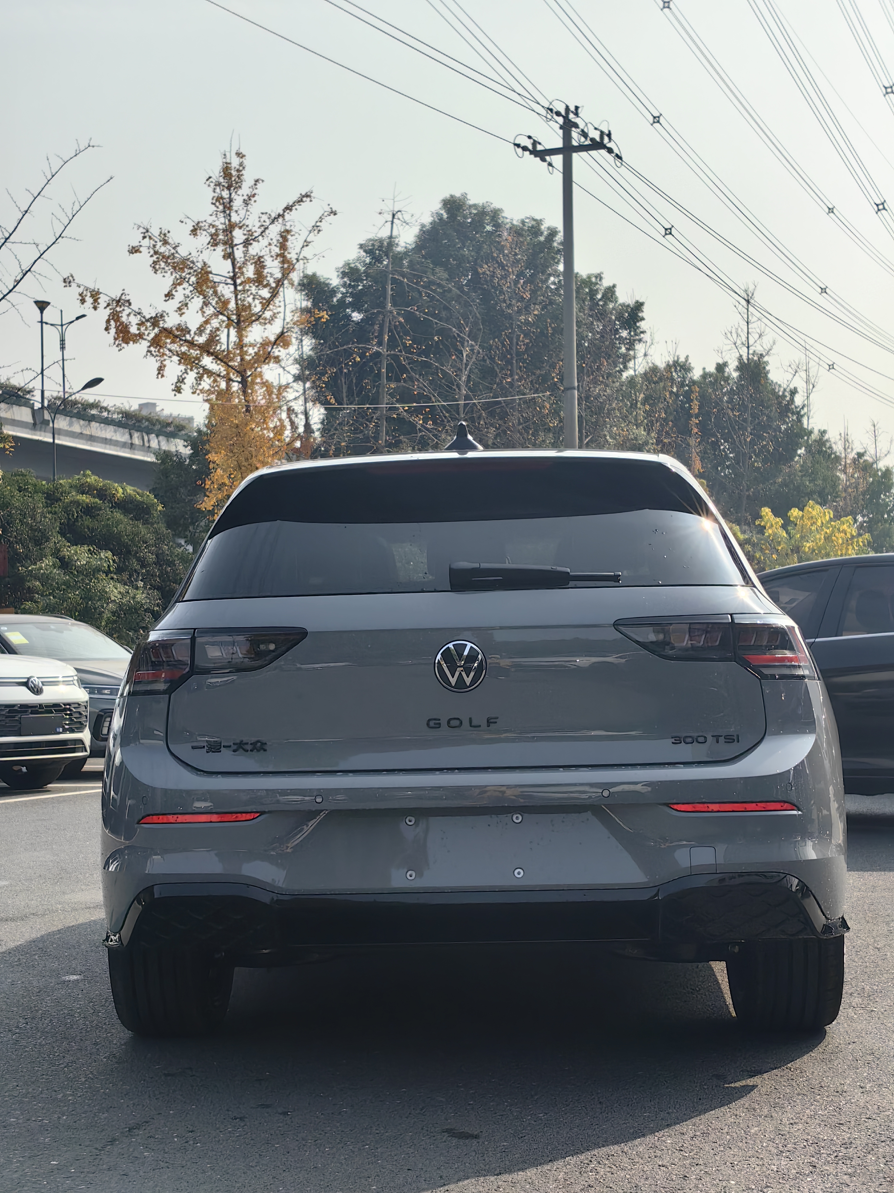 Volkswagen Volkswagen Golf 4