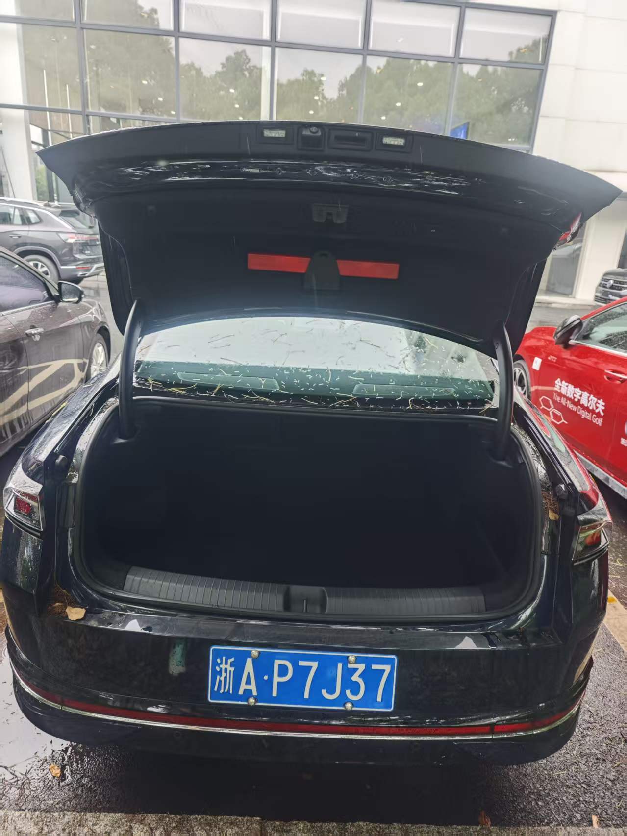 Volkswagen Volkswagen Magotan B9 4